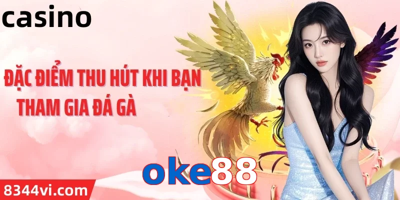 oke88